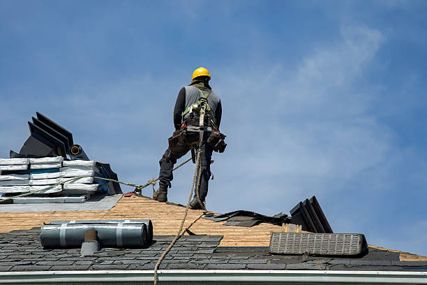 Professional Roof Replacement technician working in Winfield, AL